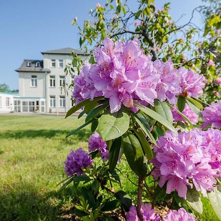 Hotel Siegmar Im Geschaftshaus Chemnitz Esterno foto